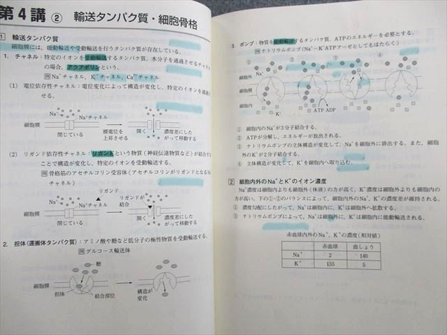 東進ハイスクール スタンダード生物 PART1/2 Vol.1/2 テキスト 2013 計