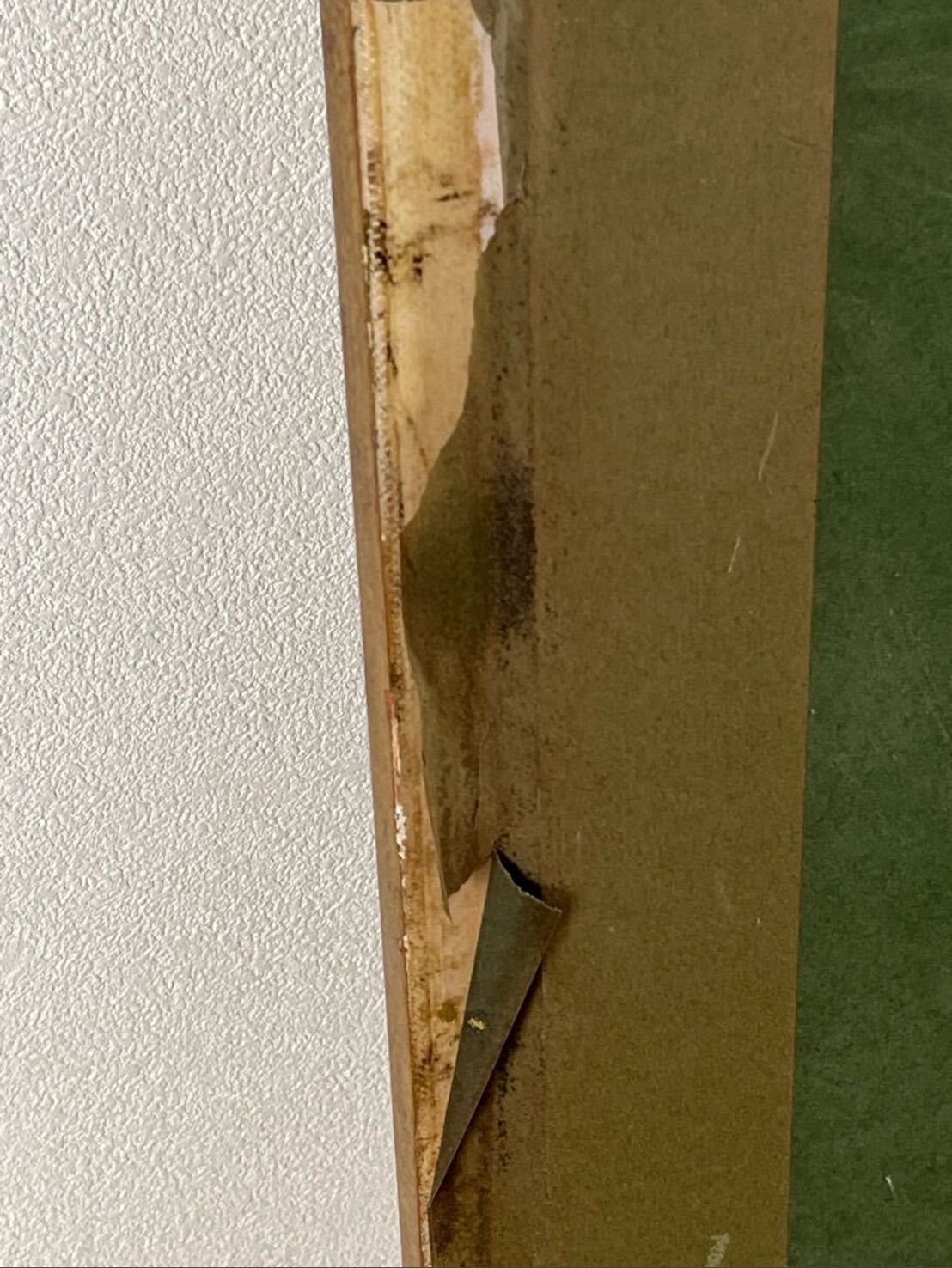 作者不詳 油彩 12号 大作 裸婦 美人画 中国画家 写実 リアリズム 細密