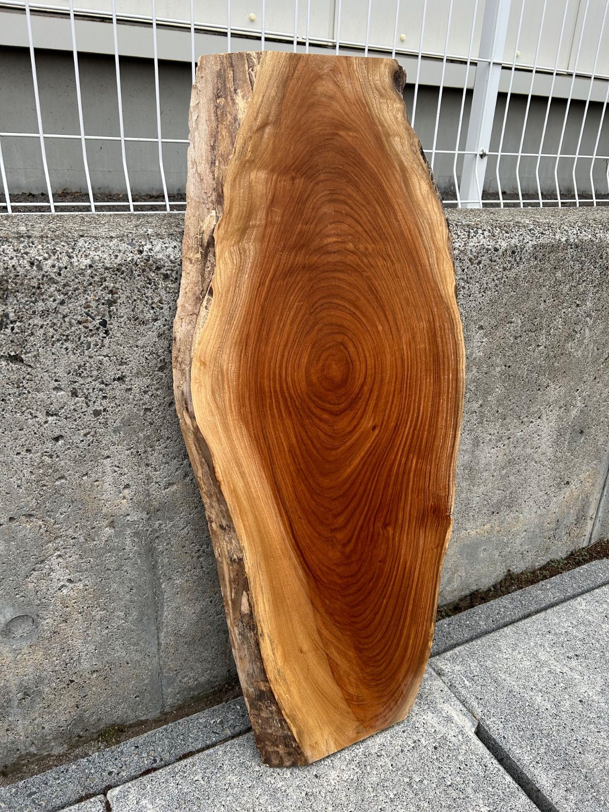 大判 欅 ケヤキ 板 一枚板 テーブル 無垢材 木工 ＤＩＹ 素材
