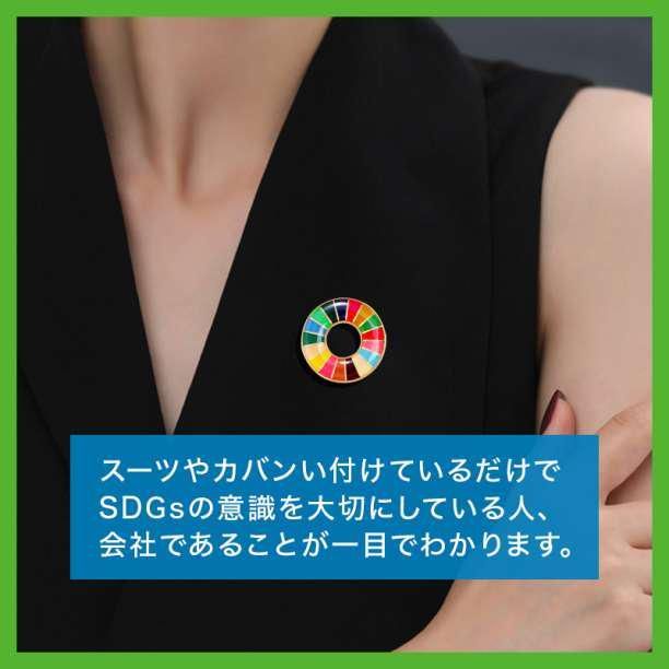 レインボー サークル バッジ ゴールド SDGs ビジネス 社章 持続