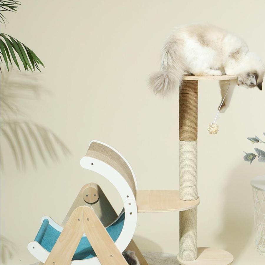 子猫