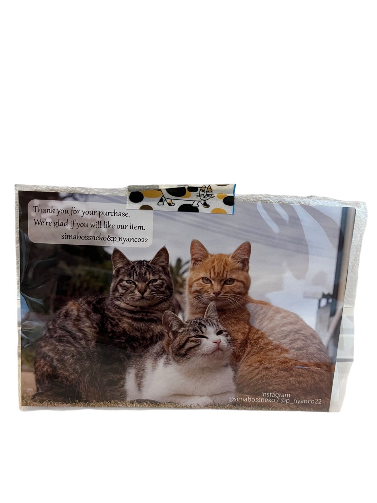 ZG9【美品】simabossneko's shop 猫 クリアファイル全種14枚