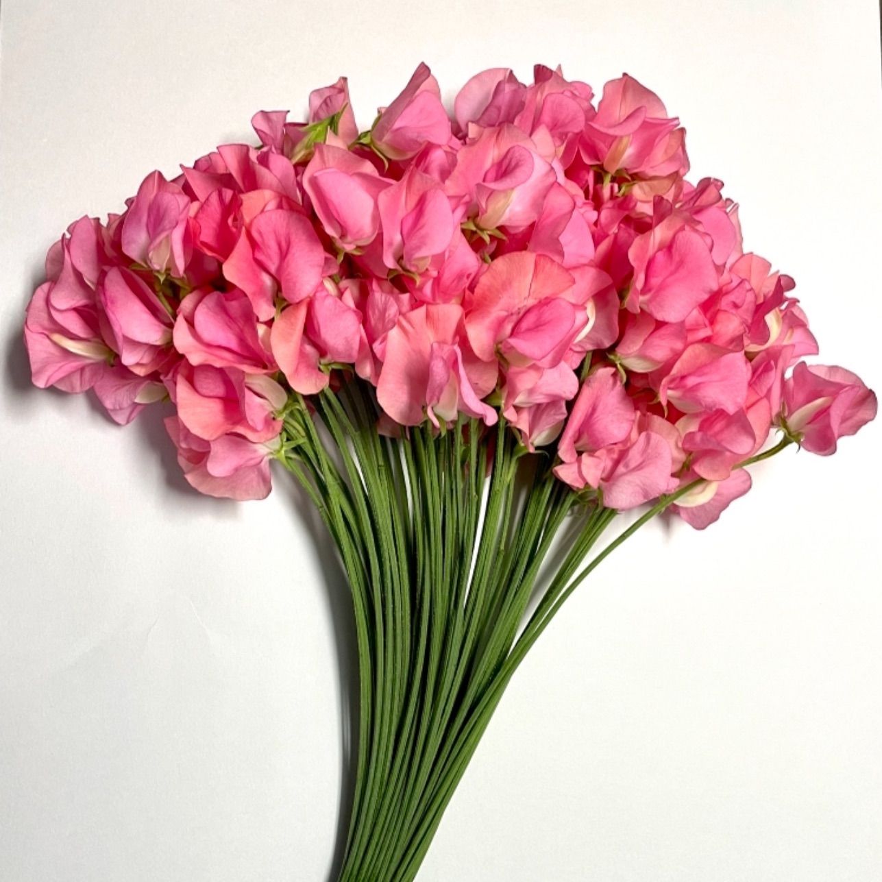 生花