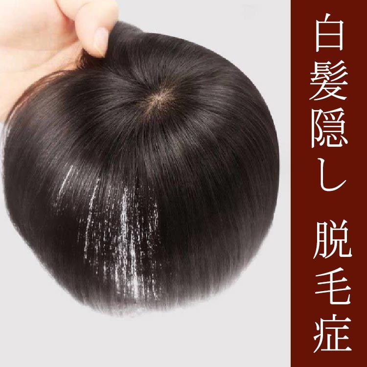 つむじウィッグ 人毛100% 部分ウィッグ】 つむじトップウィッグ – Reju