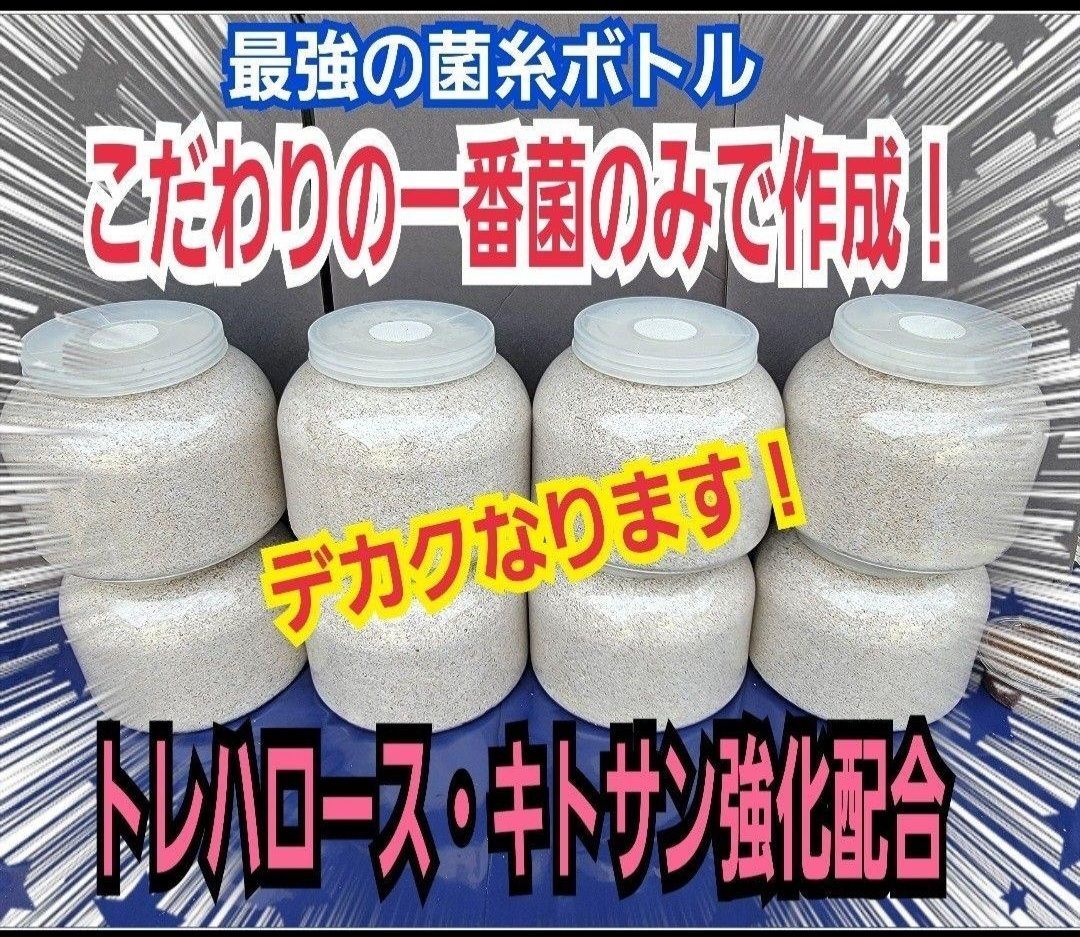 大型クワガタ羽化専用☆特大2300ml菌糸瓶【3本】ギラファ、外産ヒラタ