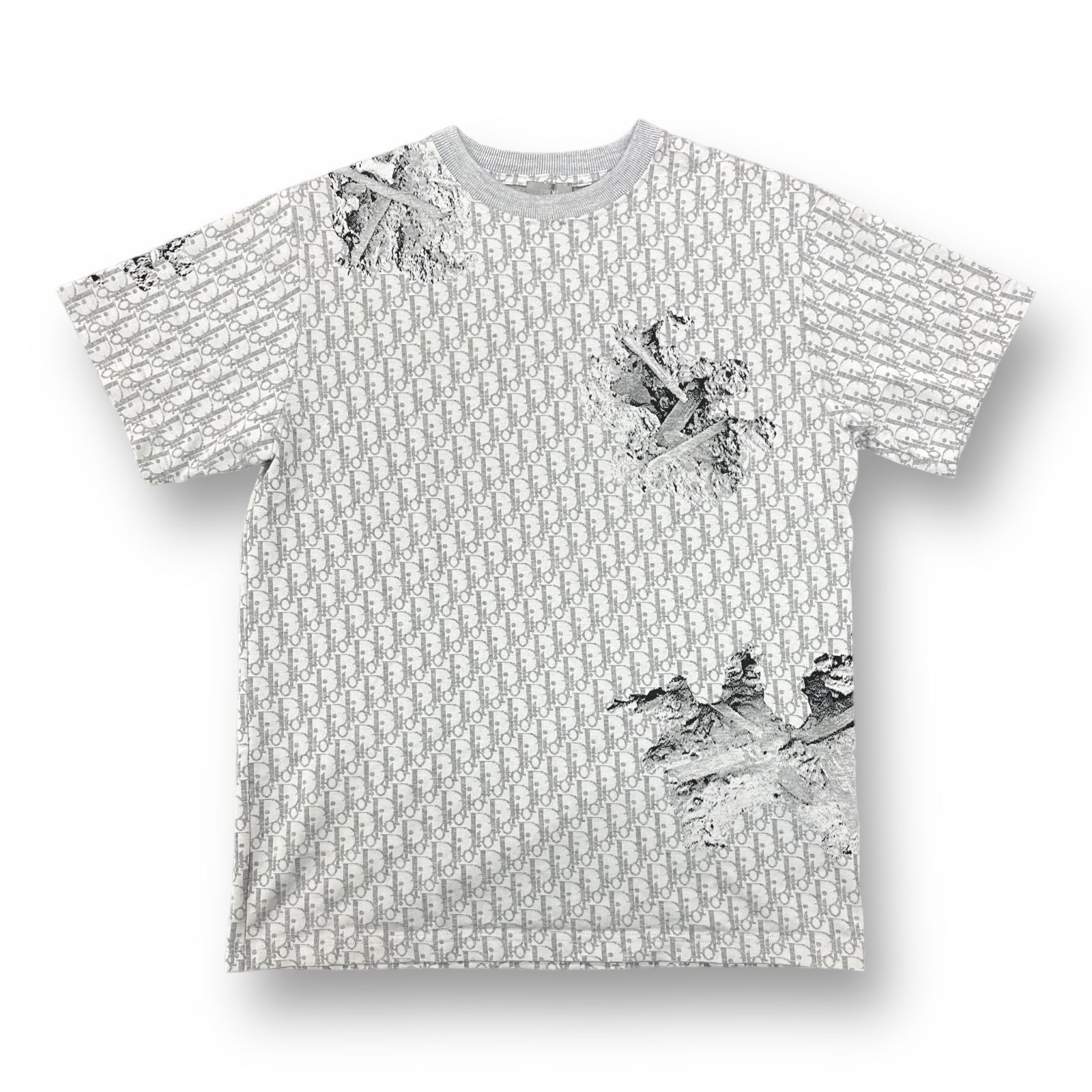 ディオール】 DANIEL ARSHAM オブリーク Tシャツ M シルバー - トップス