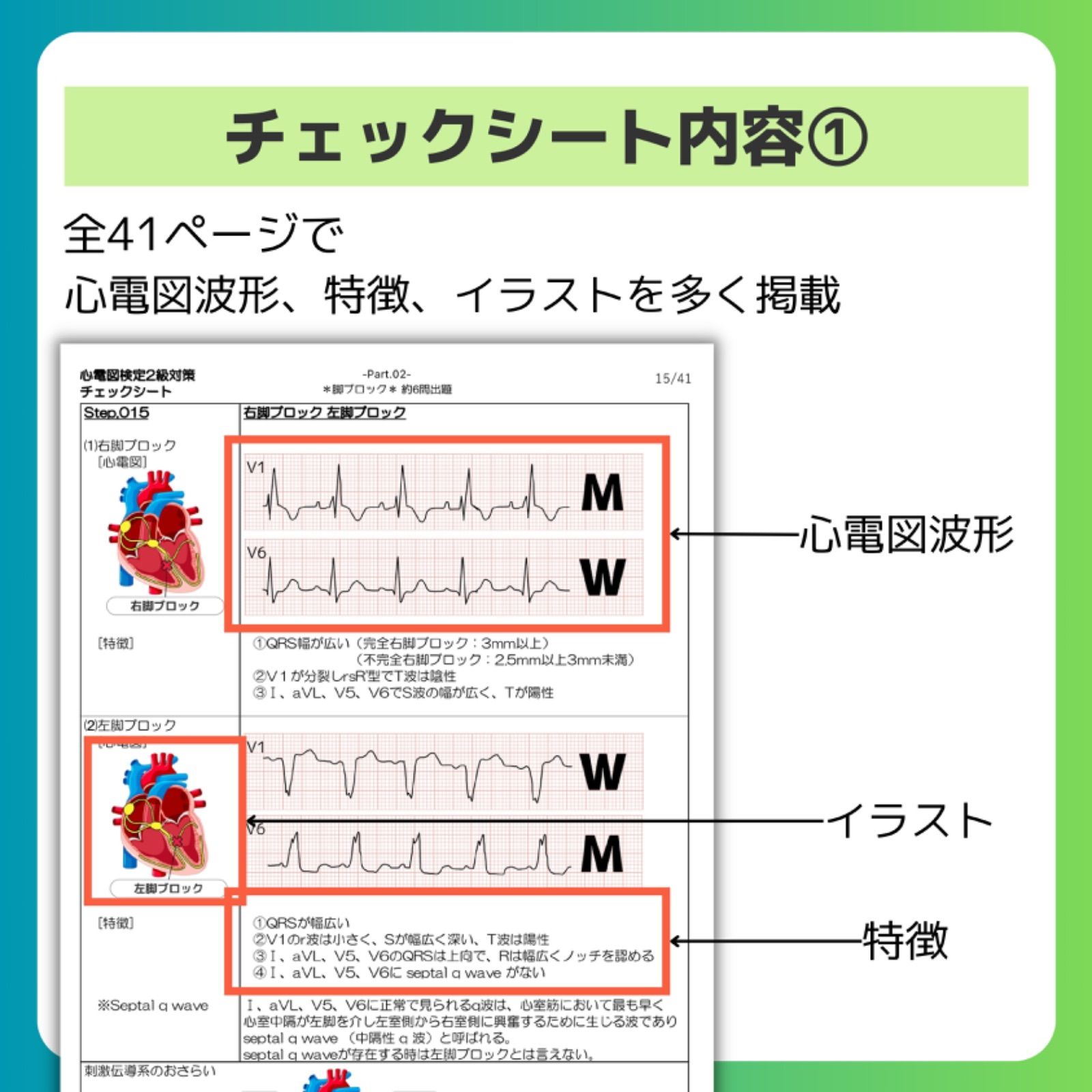 紙媒体(A4)]心電図検定2級合格39ステップ/重要波形68/心電図用語