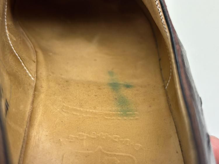 VASS プレーントゥ