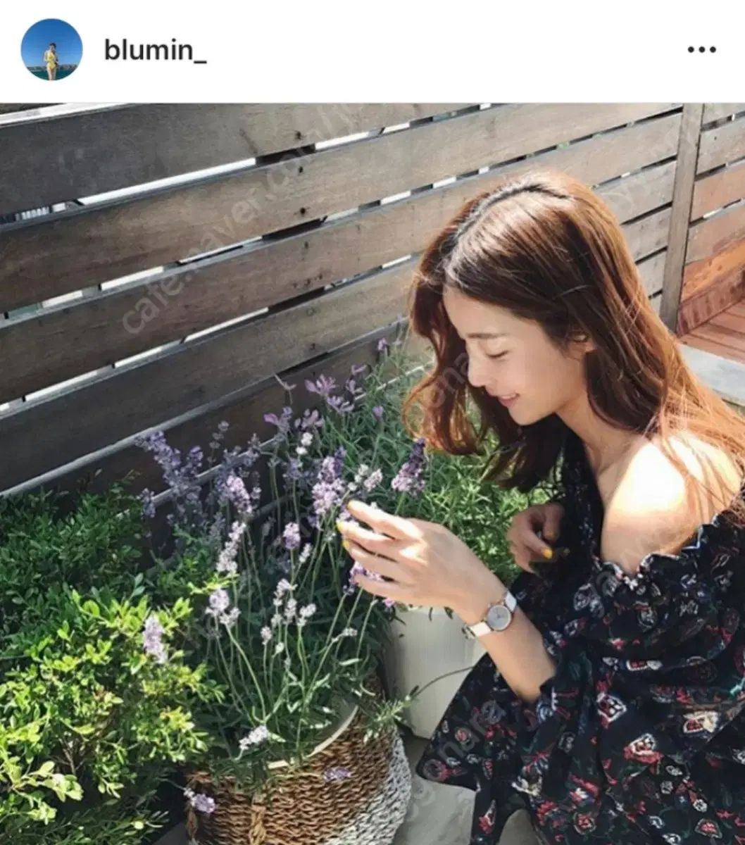 ⚮ミナペルホネン レアswing ストア camellia 三角ペンケース がま口