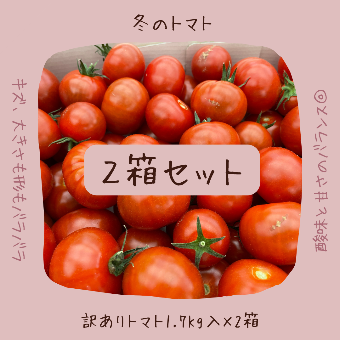 【２箱】トマトらしさ濃厚♡ 訳ありフルーツミニトマト 1.7kg入り✖️2箱【愛知県産】-0