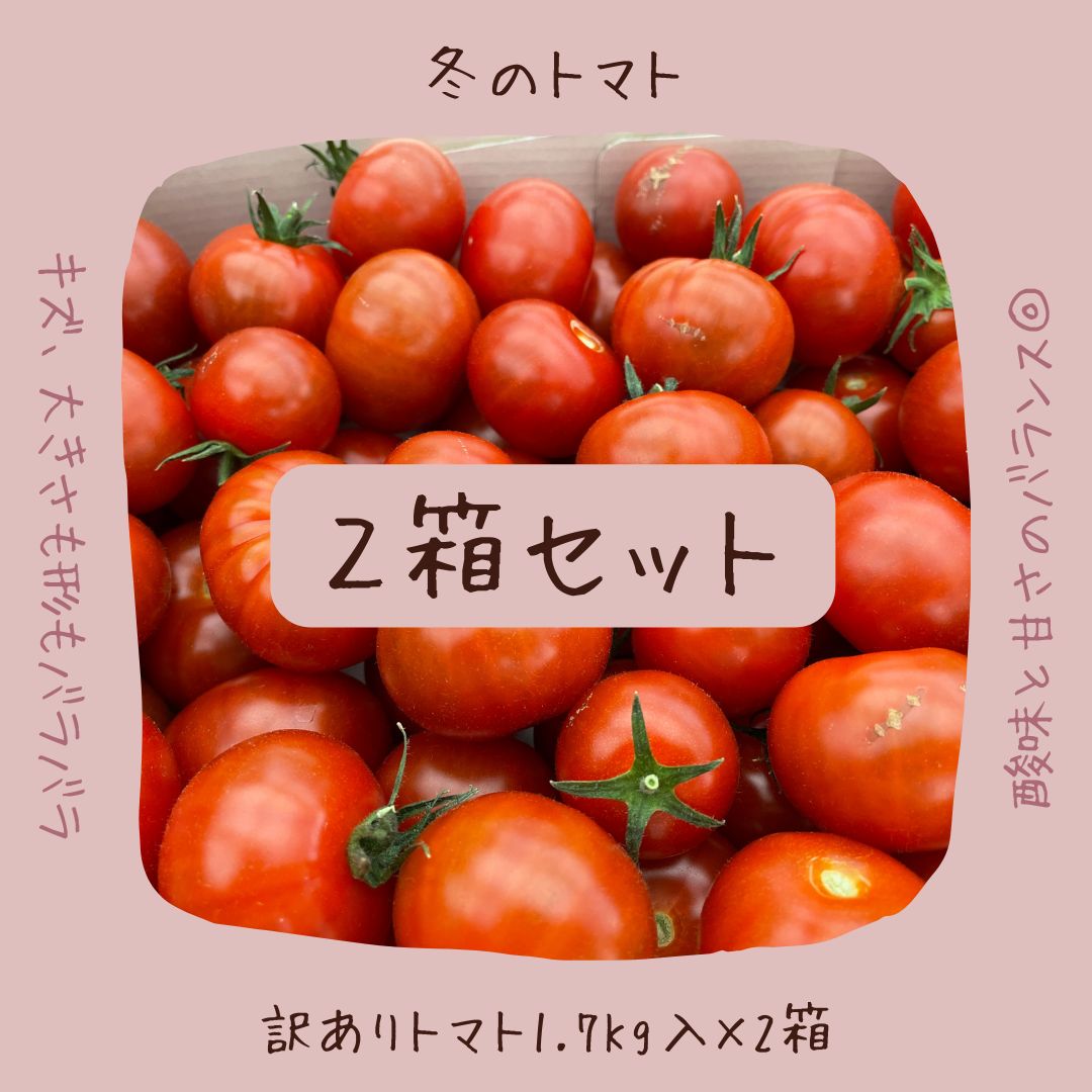 ２箱】トマトらしさ濃厚♡ 訳ありミニトマト 1.7kg入り✖️2箱【愛知県
