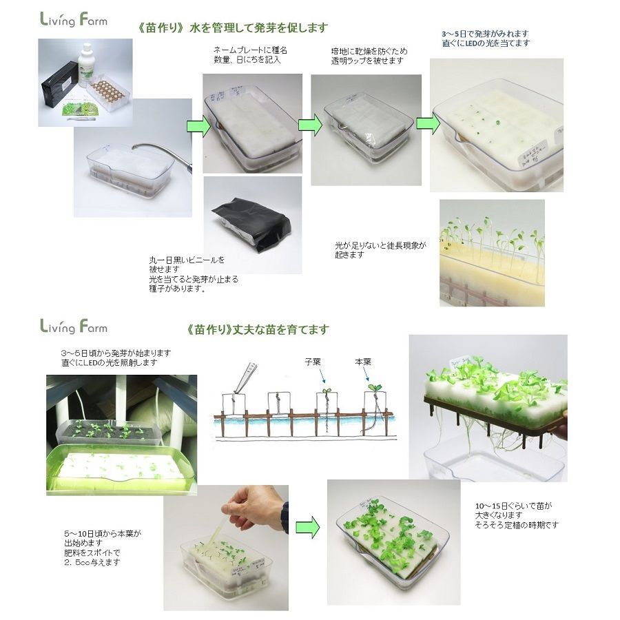 種子と苗作りキット付属 高輝度LEDで35～45日でお好きな無農薬野菜