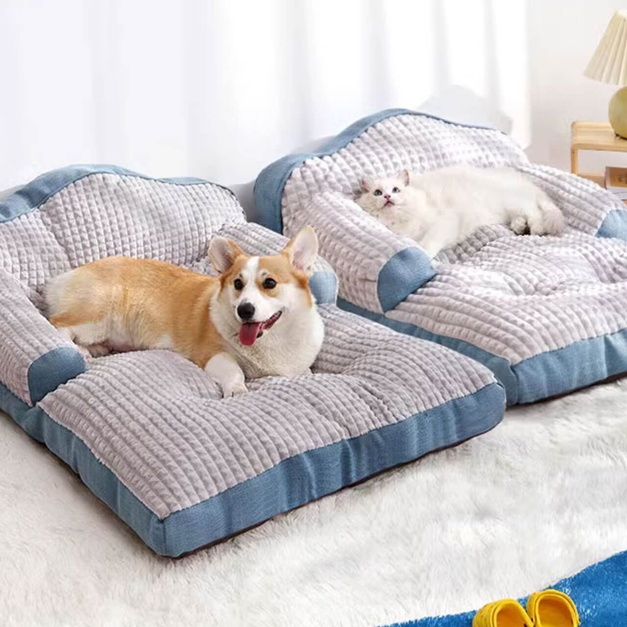 ペット