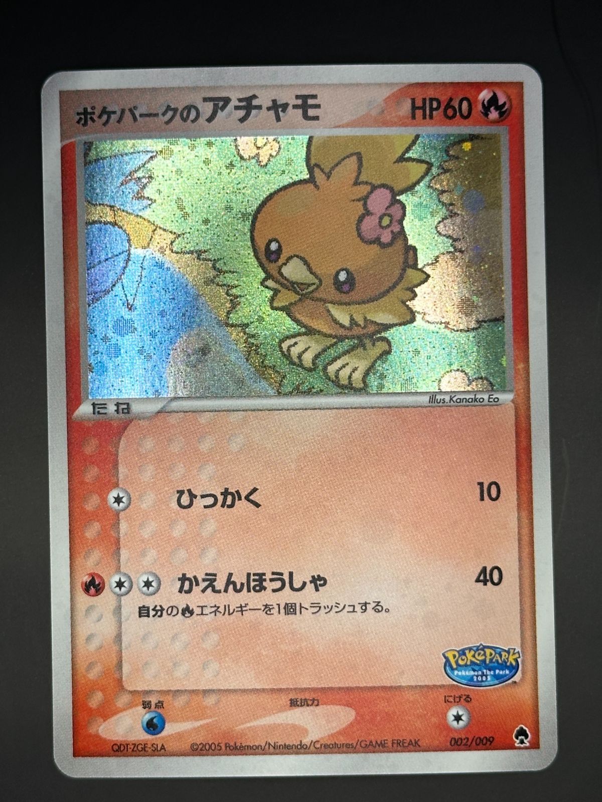 ポケパークのアチャモ 002/009（津田沼店在庫）