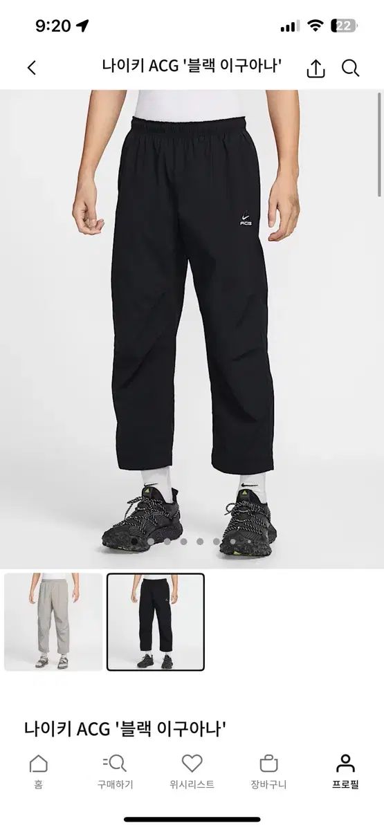 L NIKE ナイキ ACG ブラック イグアナ