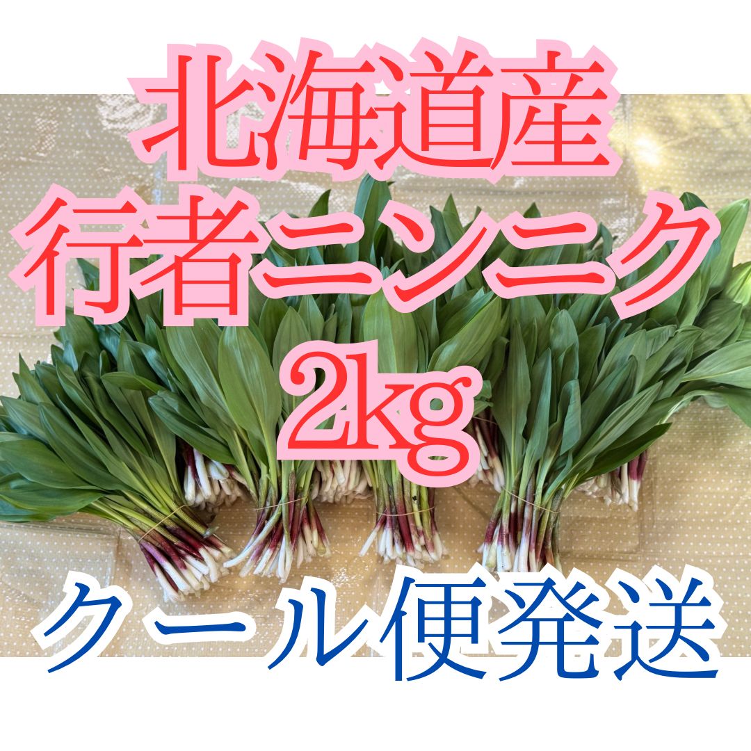 クール便送料込み 北海道道北産天然行者ニンニク2kg