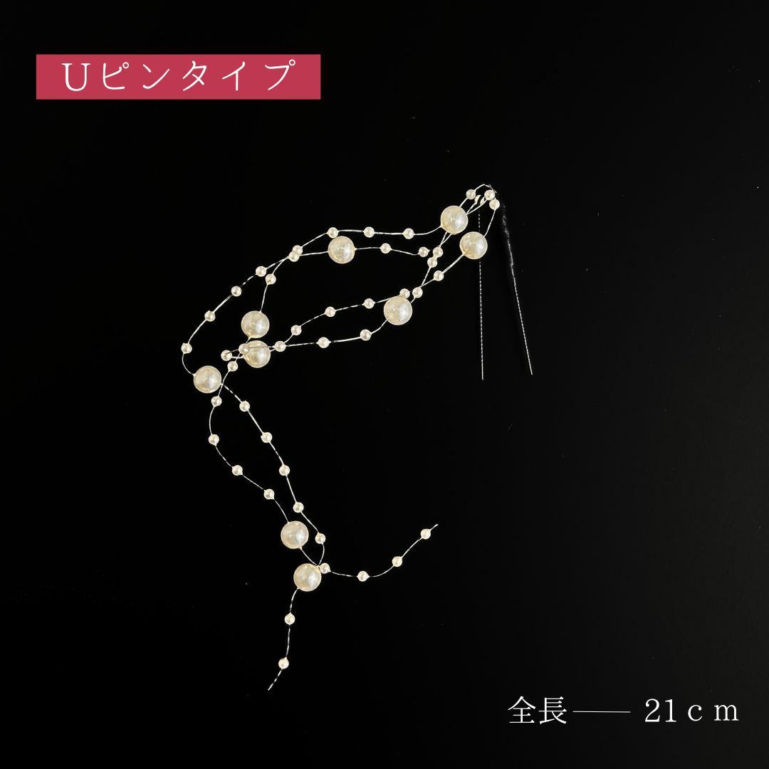 菊 キク