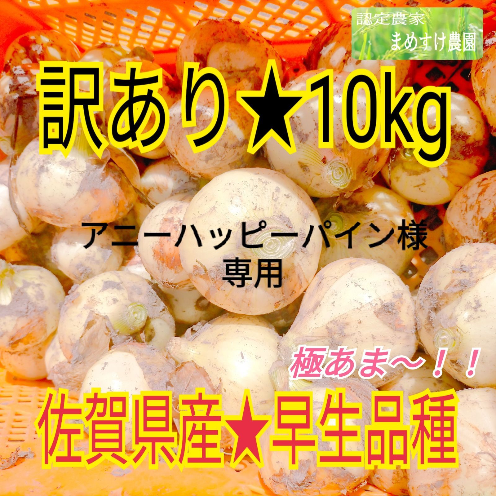 アニーハッピーパイン様専用 佐賀県産 早生品種 玉ねぎ 訳あり 10kg