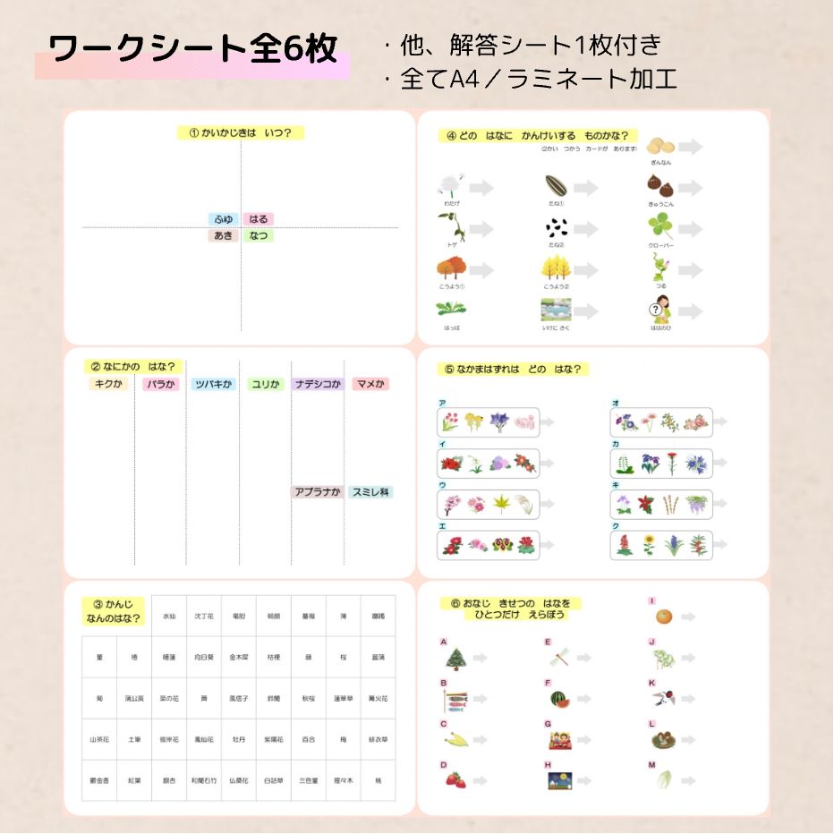 季節の花 小学校受験教材 理科的常識 幼児教育 知育 きせつカード - メルカリ