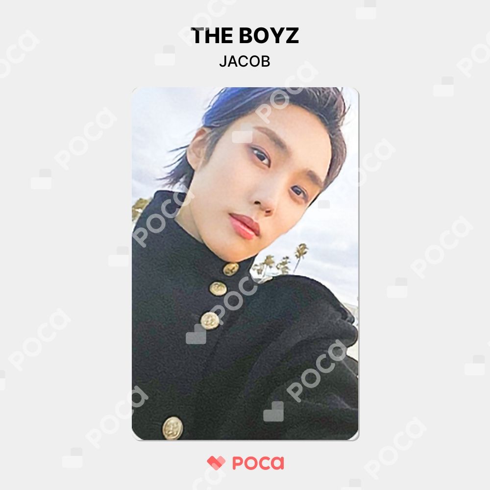 the boyz ジェイコブ　トレカ　セット　ヨントン　アルバム　証明写真 THE BOYZ ドボイズ SKOOLOOKS 証明写真 トレカ フルセット CD