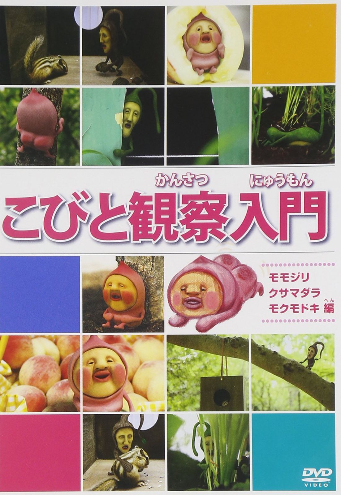 USED　こびとづかん　DVD ４点セット　かくれももじり　レンタル落ち 2025年最新】カクレモモジリ dvdの人気アイテム - メルカリ