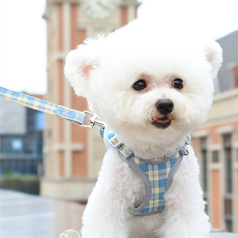 ハーネス 犬 ハーネス リード 小型犬 チェック柄 可愛い おしゃれ 調整可能