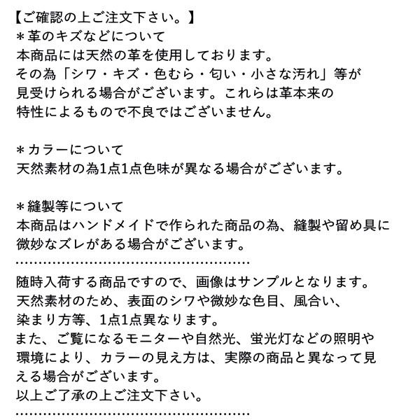 送料無料（北海道・沖縄県除く！） 紺 ネイビー Lee 573 リー 本革