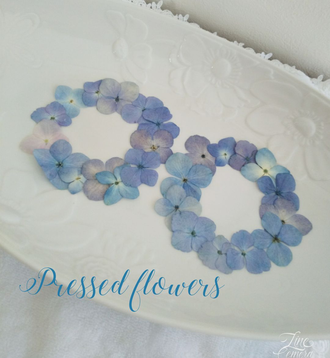 アジサイ 30枚 押し花 【送料込】極小 再販 