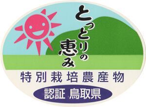 大山山麓栽培期間中農薬化学肥料栽培不使用栽培野菜詰合せ6品前後