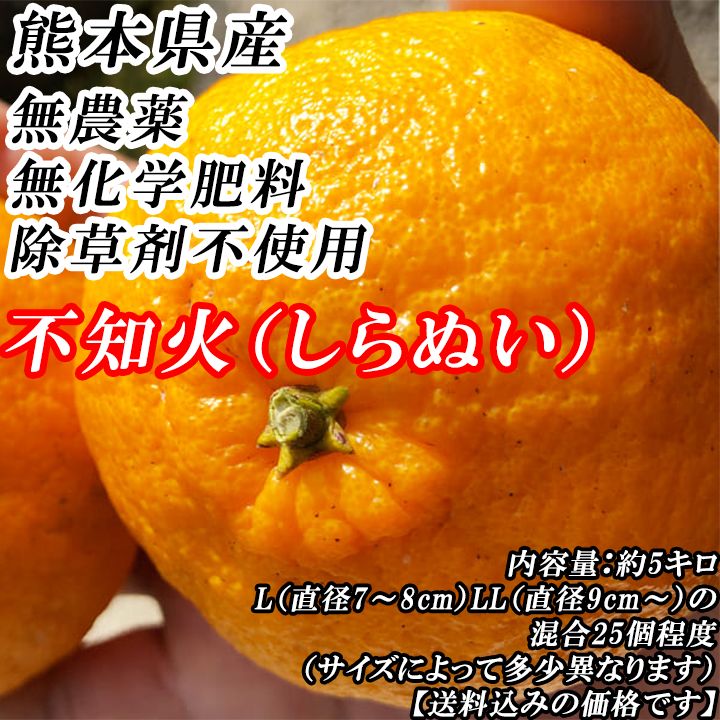 熊本生まれの、無農薬・無化学肥料・除草剤不使用の自然栽培の「不知火」約5キロ