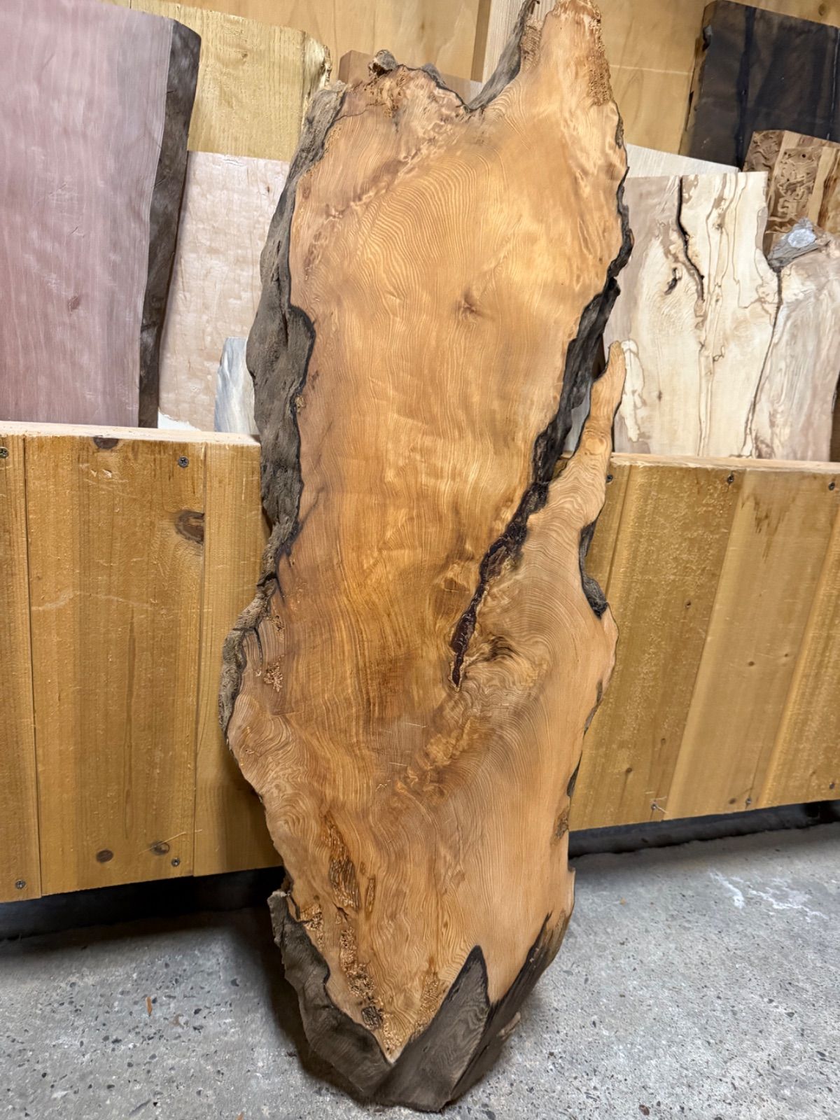 激 良形良杢 屋久杉 板 一枚板 無垢材 銘木 ローテーブル レジン 木工 ＤＩＹ 素材