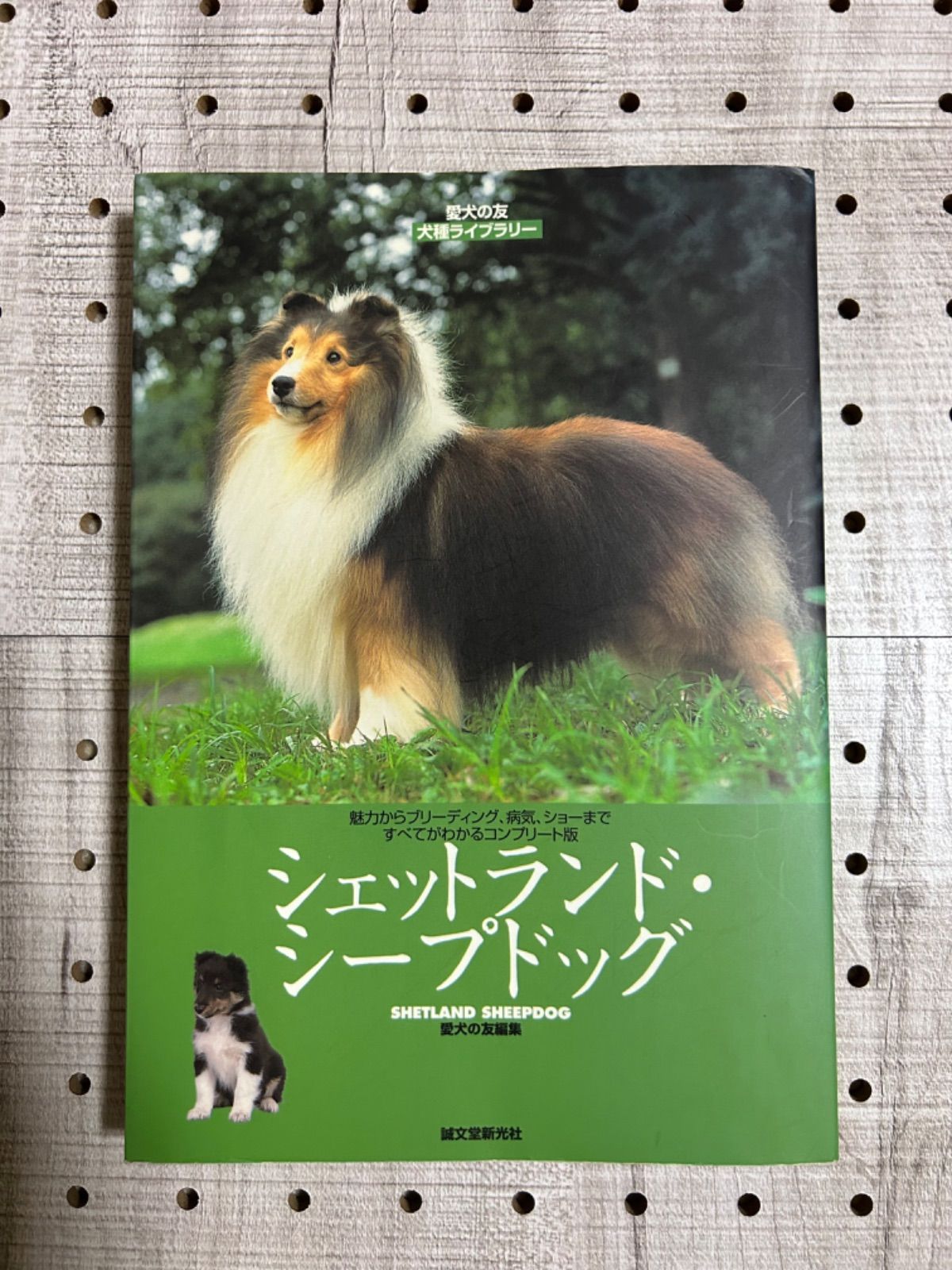 シェットランド・シープドッグ★SHETLAND SHEEPDOG★愛犬の友 犬種ライブラリー★愛犬の友編集★株式会社 誠文堂新光社★絶版★