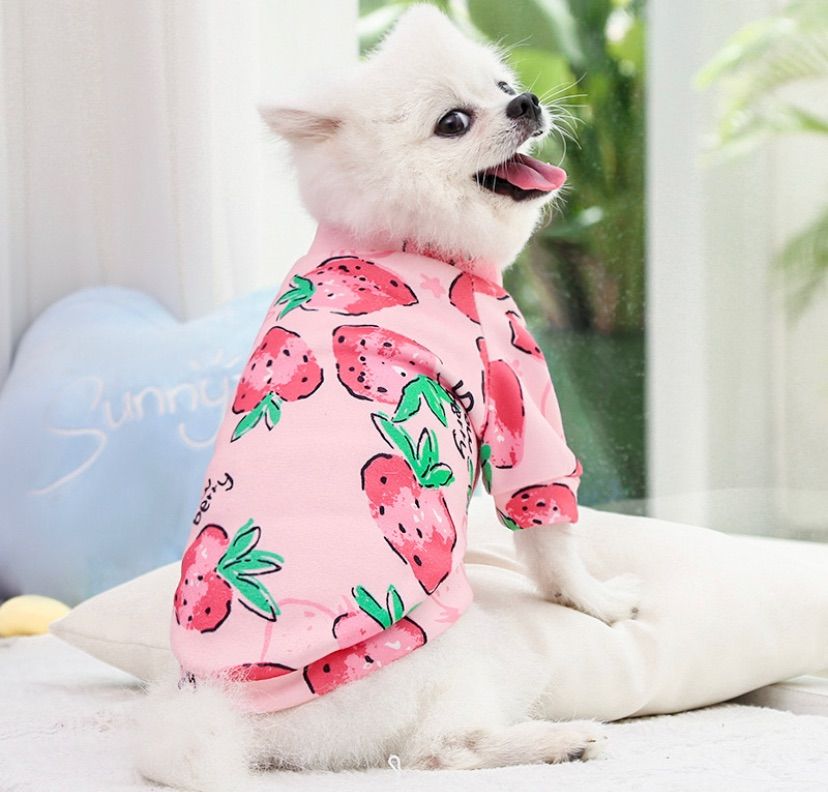 大人気　新作　可愛い 小中型犬服 ドッグウェア 裏起毛　うさぎ　クマ　イチゴ　M