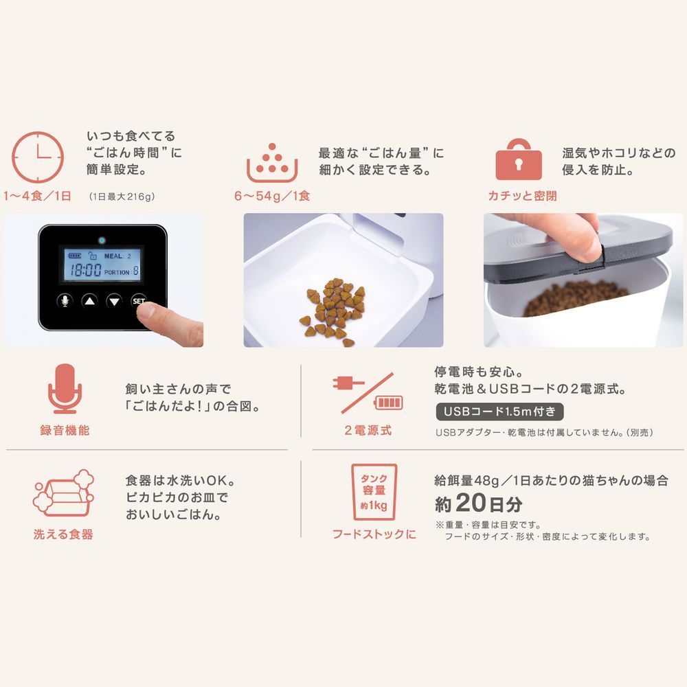 ドギーマン
