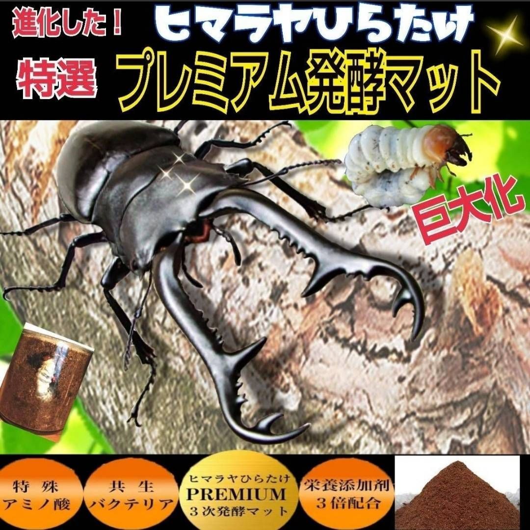 極上☆ギネス狙いに！プレミアム3次発酵カブトムシマット【4袋】特殊