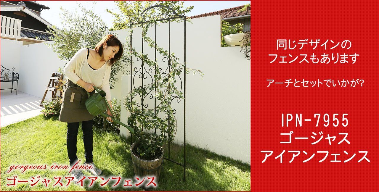 IPN-7973-BRZ