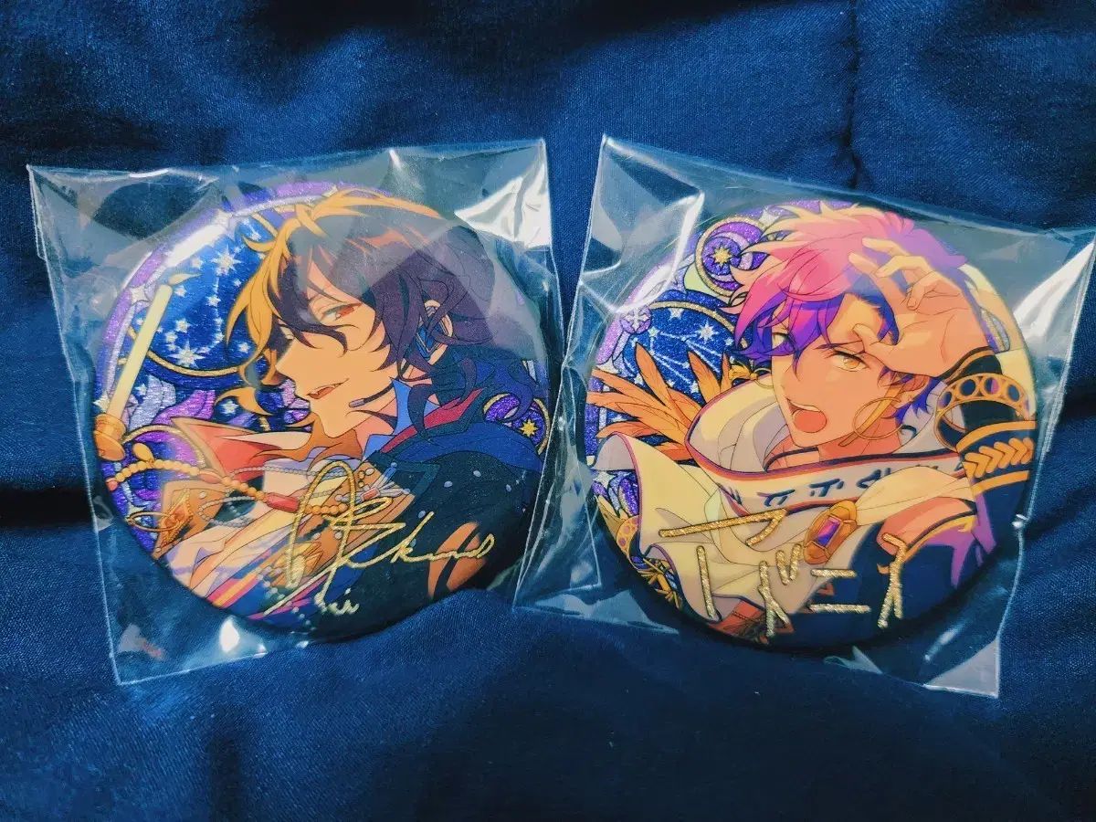 乙狩アドニス花窓缶バッジ38点