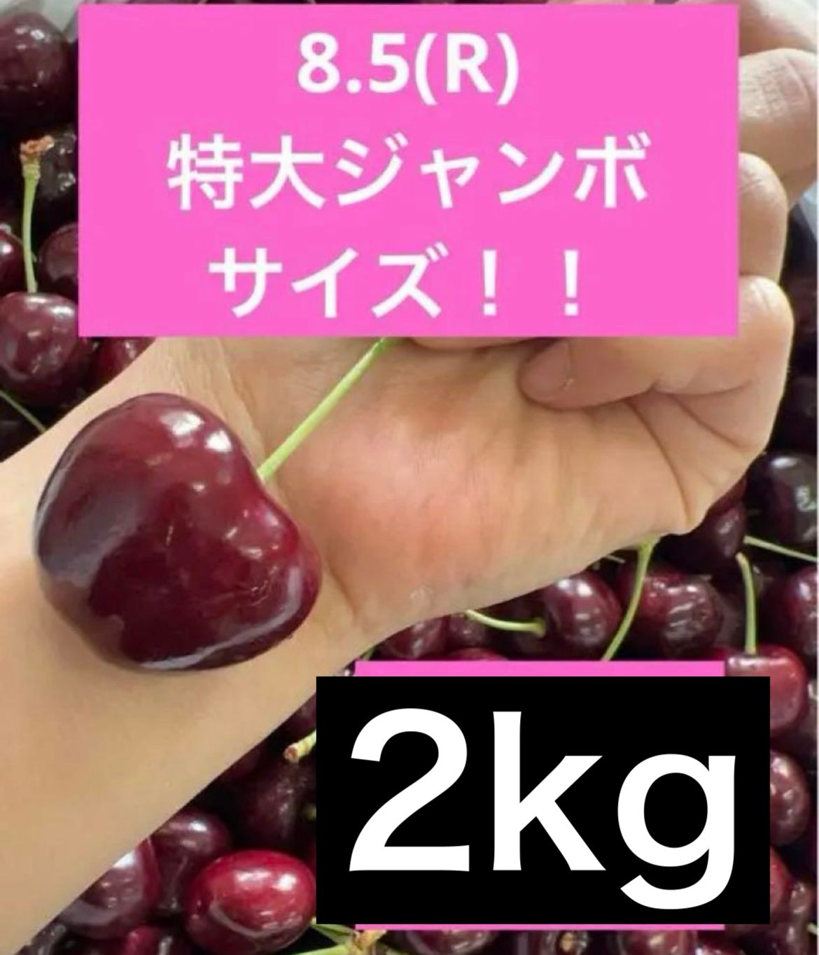 ミーナファーム　プレミアムチェリー　2kgアメリカンチェリー　さくらんぼ ミーナファーム プレミアムチェリー 2kg アメリカンチェリー