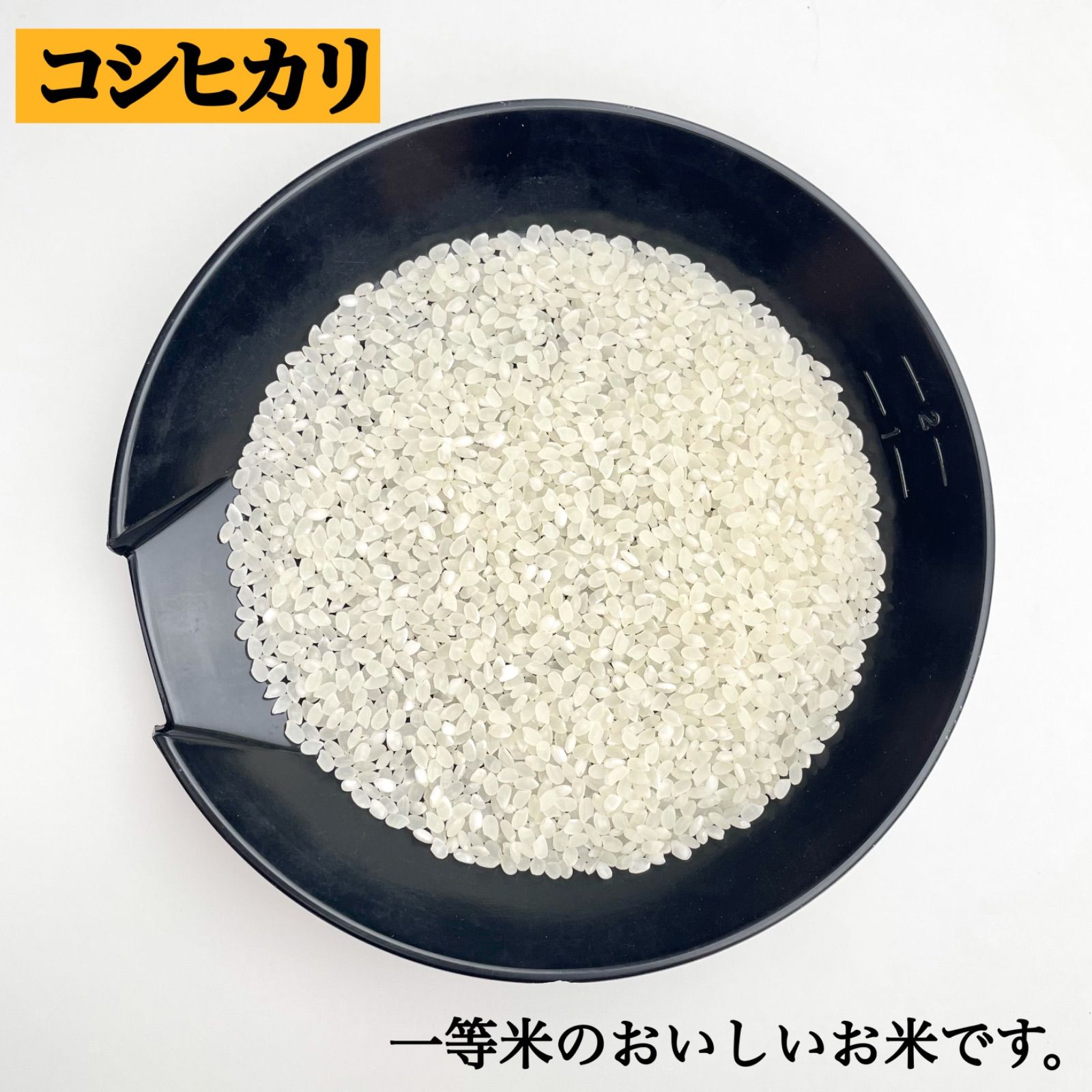 安価 無洗米もOK 兵庫県産 コシヒカリ 箱込み1.5kg