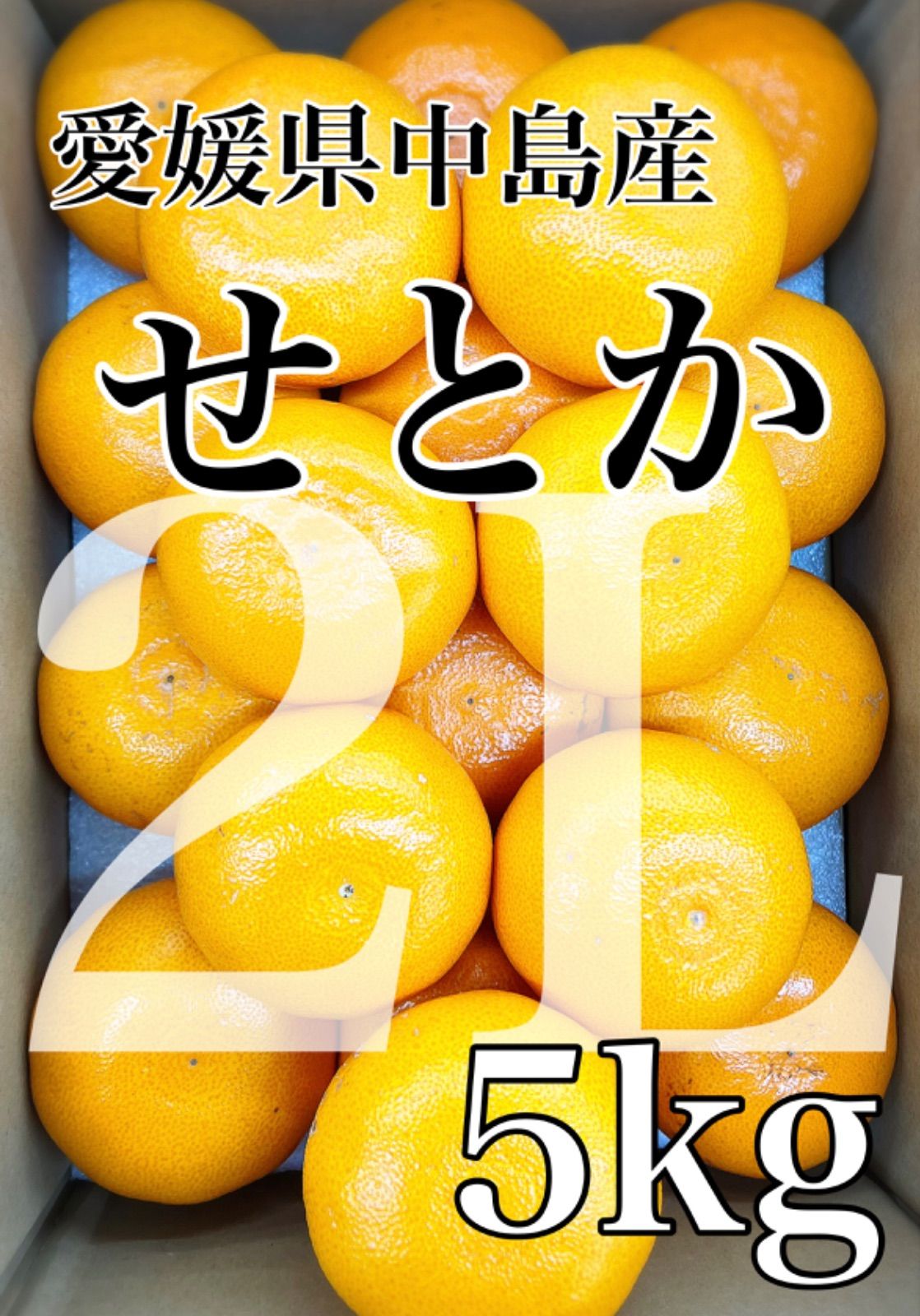 柑橘の大トロ！！うまうまジューシー！！愛媛県中島産【せとか】2Lサイズ 約5kg