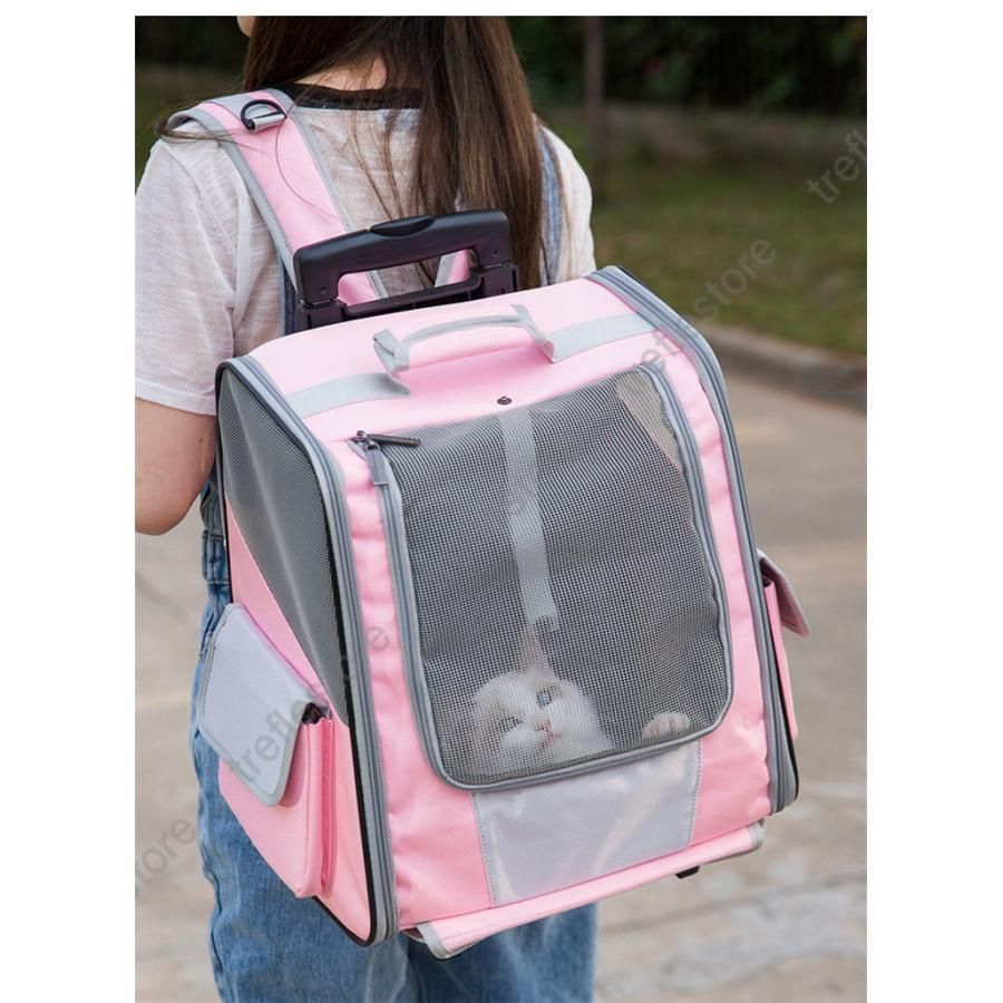 犬用