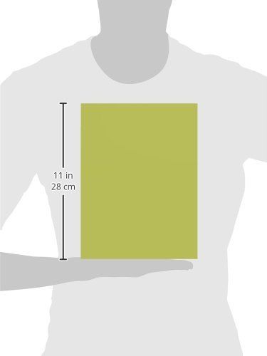ポケットアルバム 超透明 ナカバヤシ 2 L判 収納 ライトグリーン CTP L-80-LG