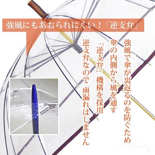十六夜桜WN ワイン