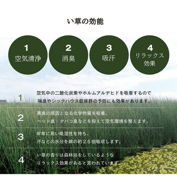 ラグ・カーペット・マット い草 置き畳/ユニット畳 無地調 抗菌 防臭 消臭 調湿 縁無し 防滑 〔リビング〕