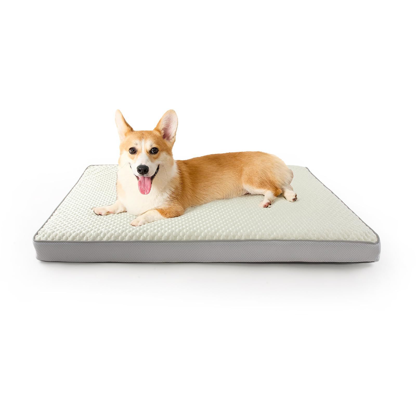 まなざし - ウェルシュコーギー犬の子犬 No.3】アートポスター 犬の絵 犬の絵画, image size:1600x1600