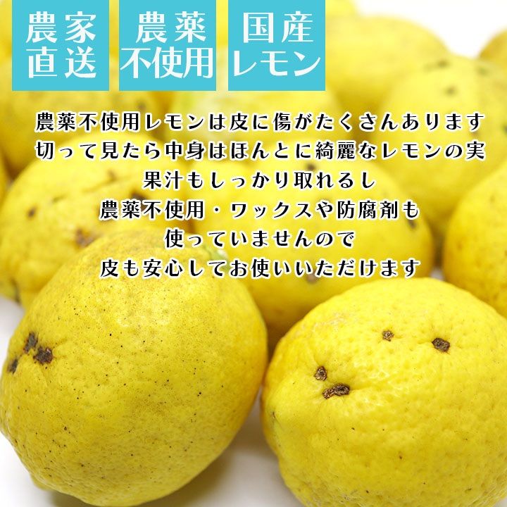 産地直送！広島県産レモン 1キロ 農薬、防腐剤不使用、ノーワックス - 果物