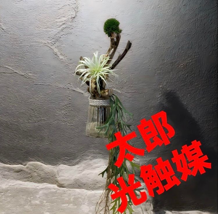 光触媒 人工観葉植物 ウォールグリーン フェイクグリーン 壁掛け 光触媒 人工観葉植物 ウォールグリーン フェイクグリーン 壁掛け