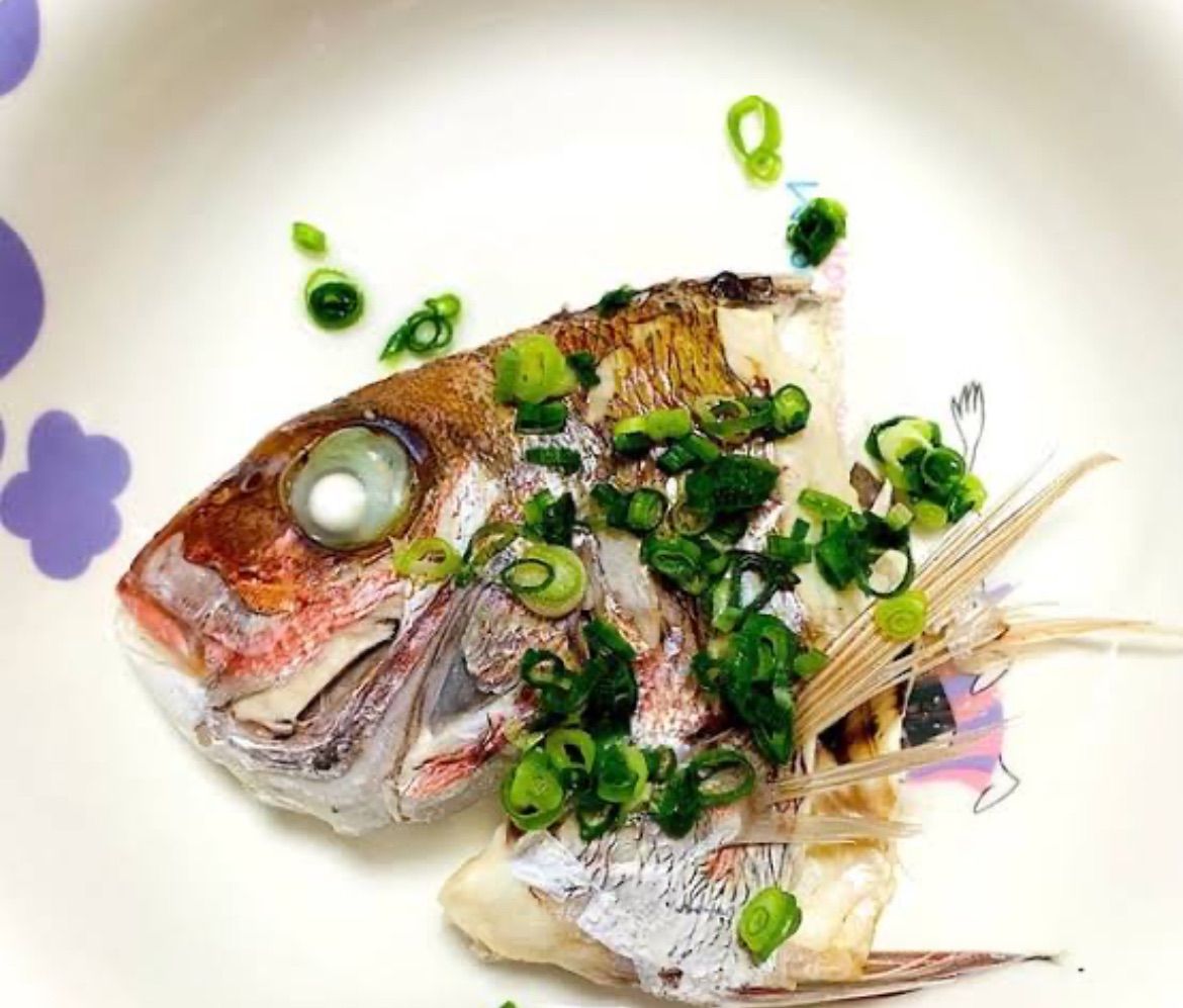 ラングマン人体発生学 ラングマン人体発生学 中古本・書籍