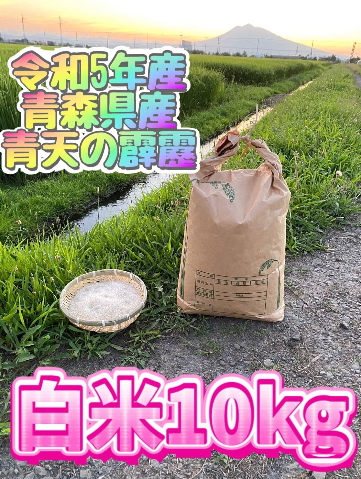 新米❗️❗️令和3年度産❗️青森県産 最高峰ブランド米「青天の霹靂