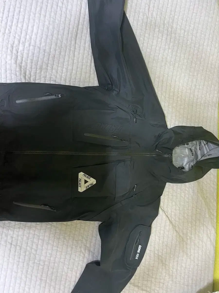 PALACE パレス GORE TEX₍ゴアテックス ウィンドブレーカー